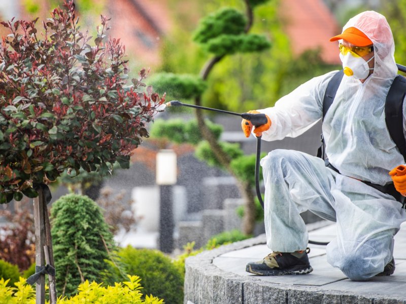 Sandıklı Haşere İlaçlama